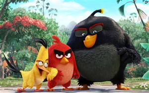 The Angry Birds Movie